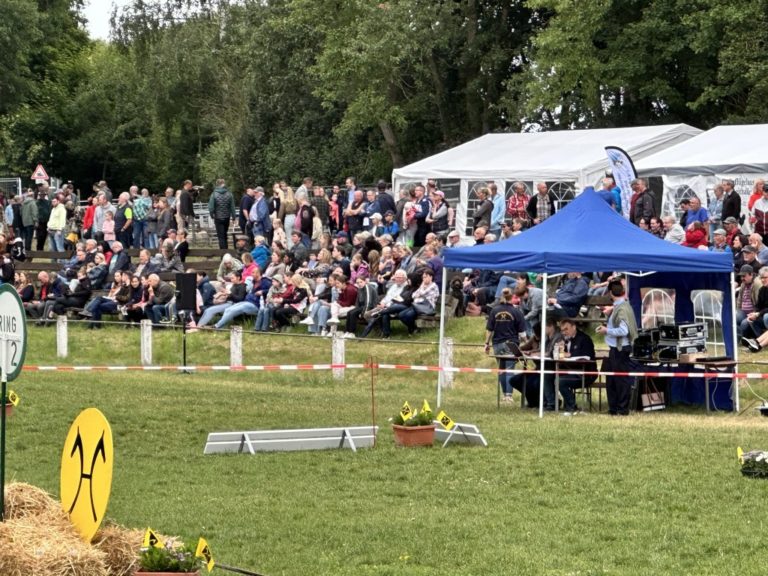 Tierschau Pferdemarkt 2025