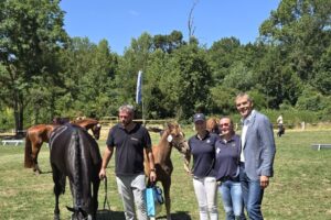 Fohlen- und Stutenschau 2026