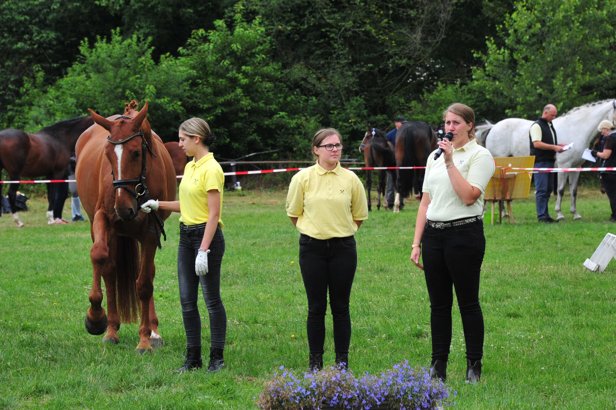 Jungzüchter beim Pferdemarkt 2019