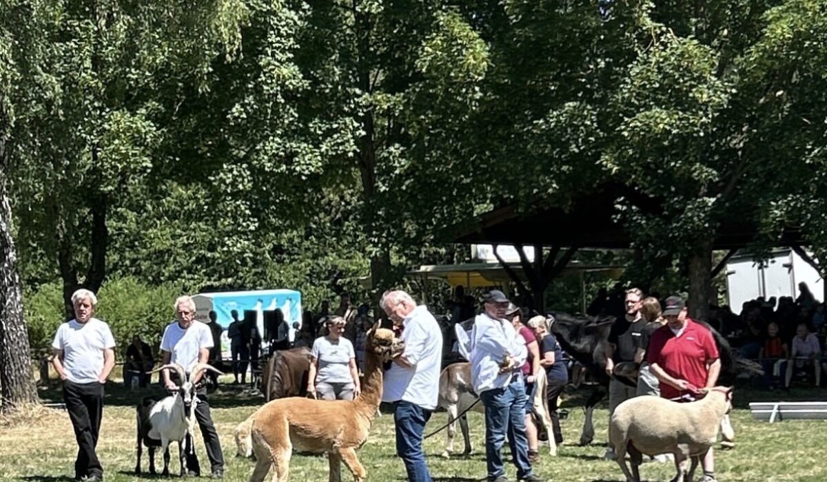 Schaubild Pferdemarkt 2026